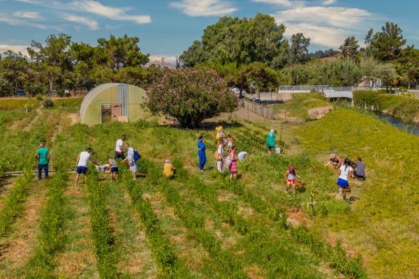 Club Jumbo Labranda Lebedos Princess 4* pas cher photo 28