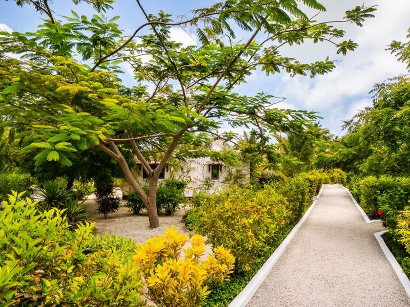 Hôtel White Paradise Sea Resort 4* pas cher photo 15