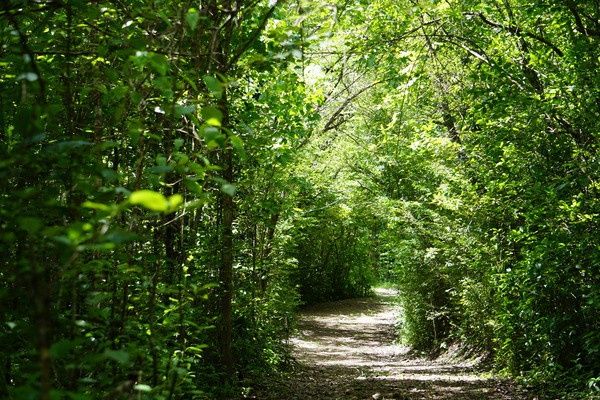 Hôtel Domaine de l'Anse Ramier pas cher photo 17