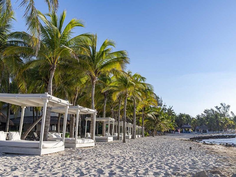 Club Lookéa Sandos Caracol Nature Resort - Vols Air Caraïbes 4* pas cher photo 16