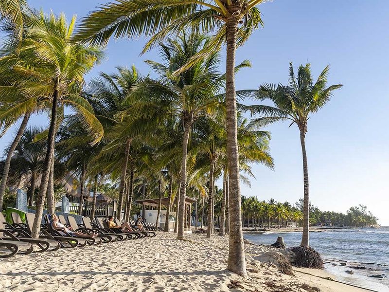 Club Lookéa Sandos Caracol Nature Resort - Vols Air Caraïbes 4* pas cher photo 17