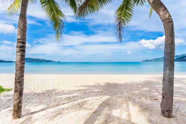 Hôtel The Charm Resort Phuket 4* pas cher photo 3