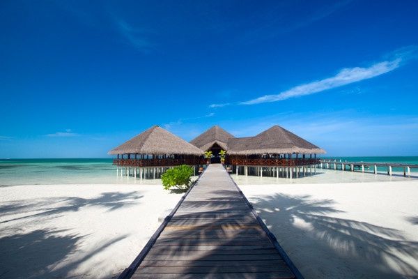 Hôtel Medhufushi Island Resort 4* pas cher photo 13