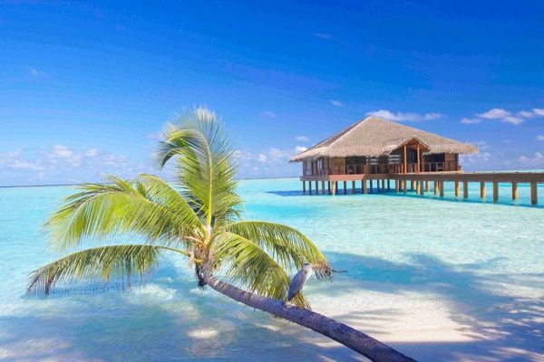 Hôtel Medhufushi Island Resort 4* pas cher photo 18