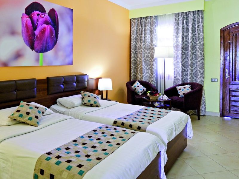 Splendeurs du Nil et Rihana Resort pas cher photo 17