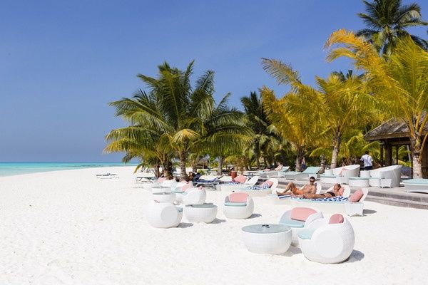 Hôtel Meeru Island 4* pas cher photo 25