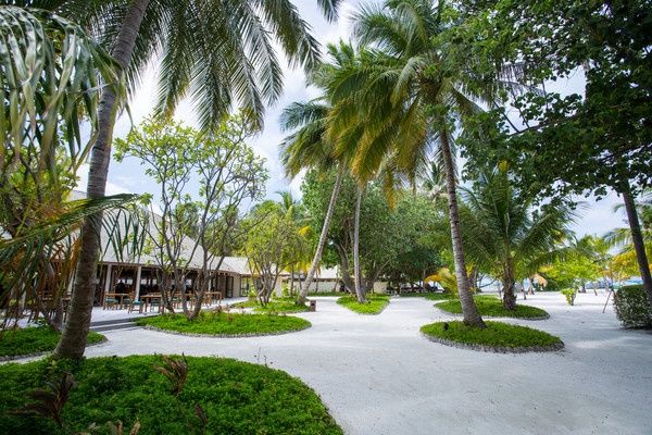 Hôtel Meeru Island 4* pas cher photo 34