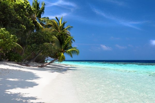 Hôtel Vilamendhoo 4* pas cher photo 3