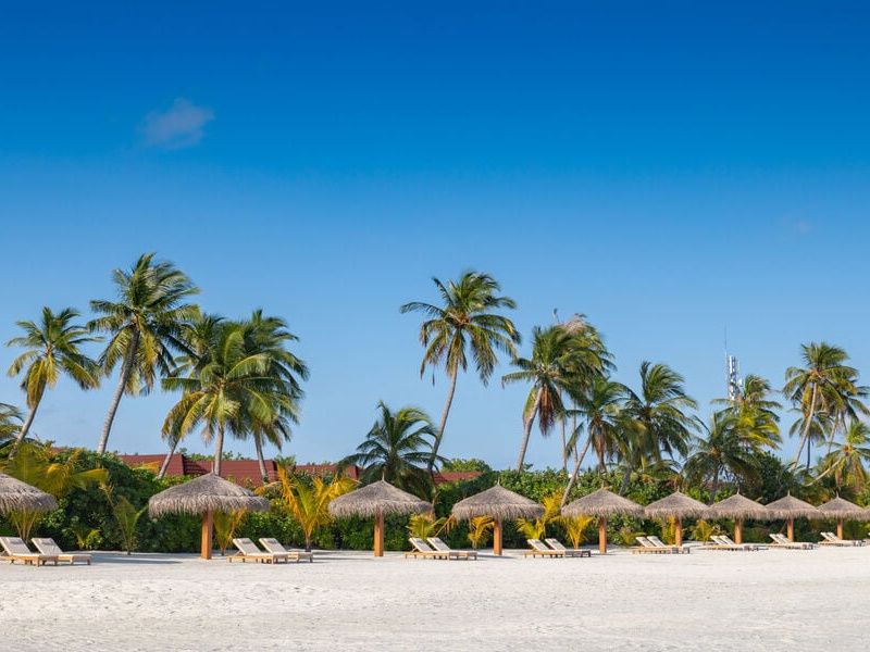 Hôtel Dhigufaru Island Resort 5* pas cher photo 8