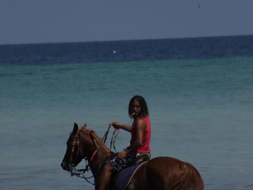 Club Framissima Premium Telemaque Beach & Spa 4* pas cher photo 11