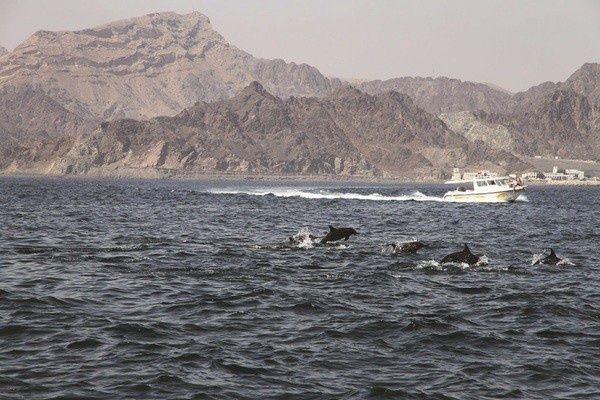 Hôtel Grand Millennium Muscat Hotel, Immersion by Fram Mascate 5* pas cher photo 16