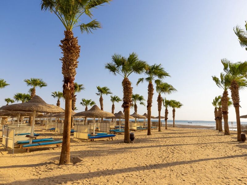 Hôtel Amwaj Beach Club 4* pas cher photo 3