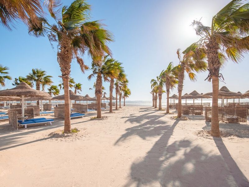 Hôtel Amwaj Beach Club 4* pas cher photo 4