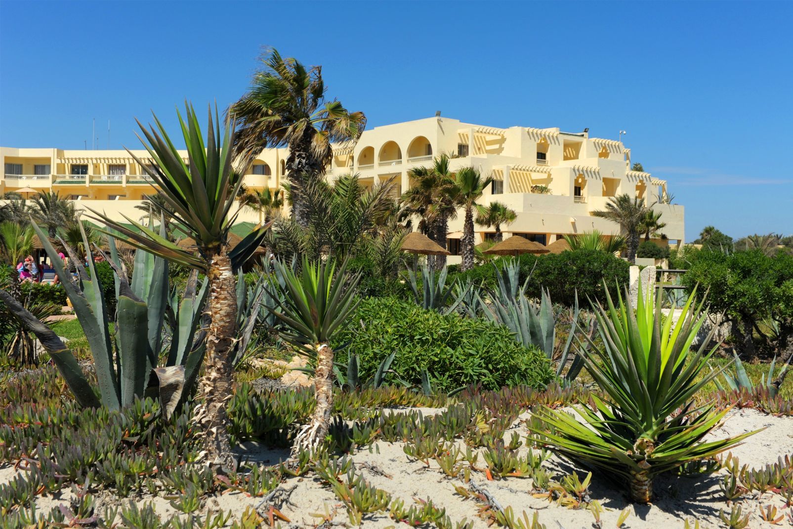 Hôtel Club Marmara Djerba Mare 3* pas cher photo 10