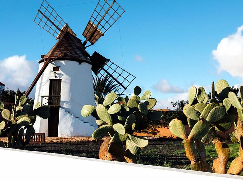 Hôtel Ôclub Experience LIVVO Jandía Golf 4* pas cher photo 13