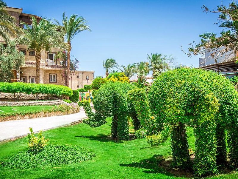 Hôtel Seagull Beach Resort 4* pas cher photo 12