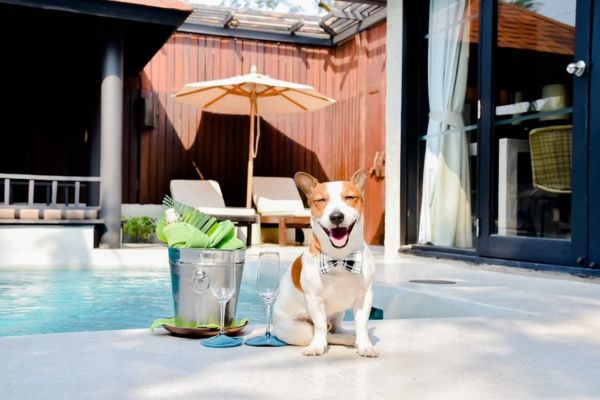 Hôtel Wyndham Hua Hin Pranburi Resort et Villas 5* pas cher photo 9