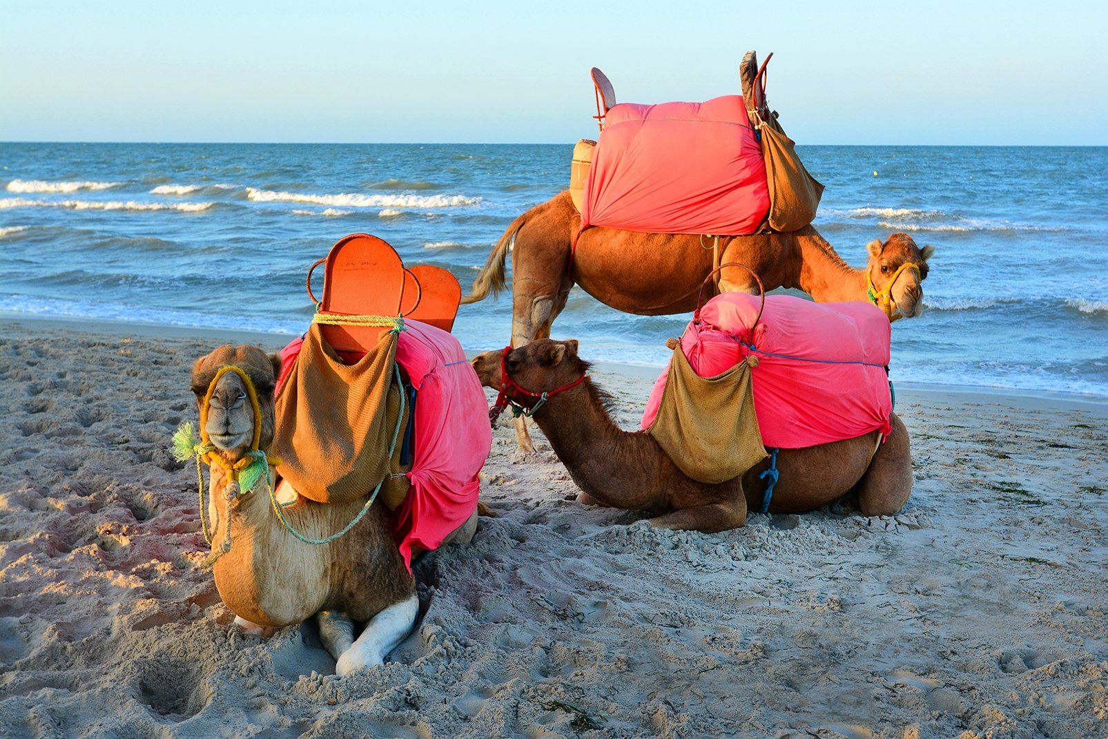 Hôtel Club Marmara Palm Beach Djerba 4* pas cher photo 33