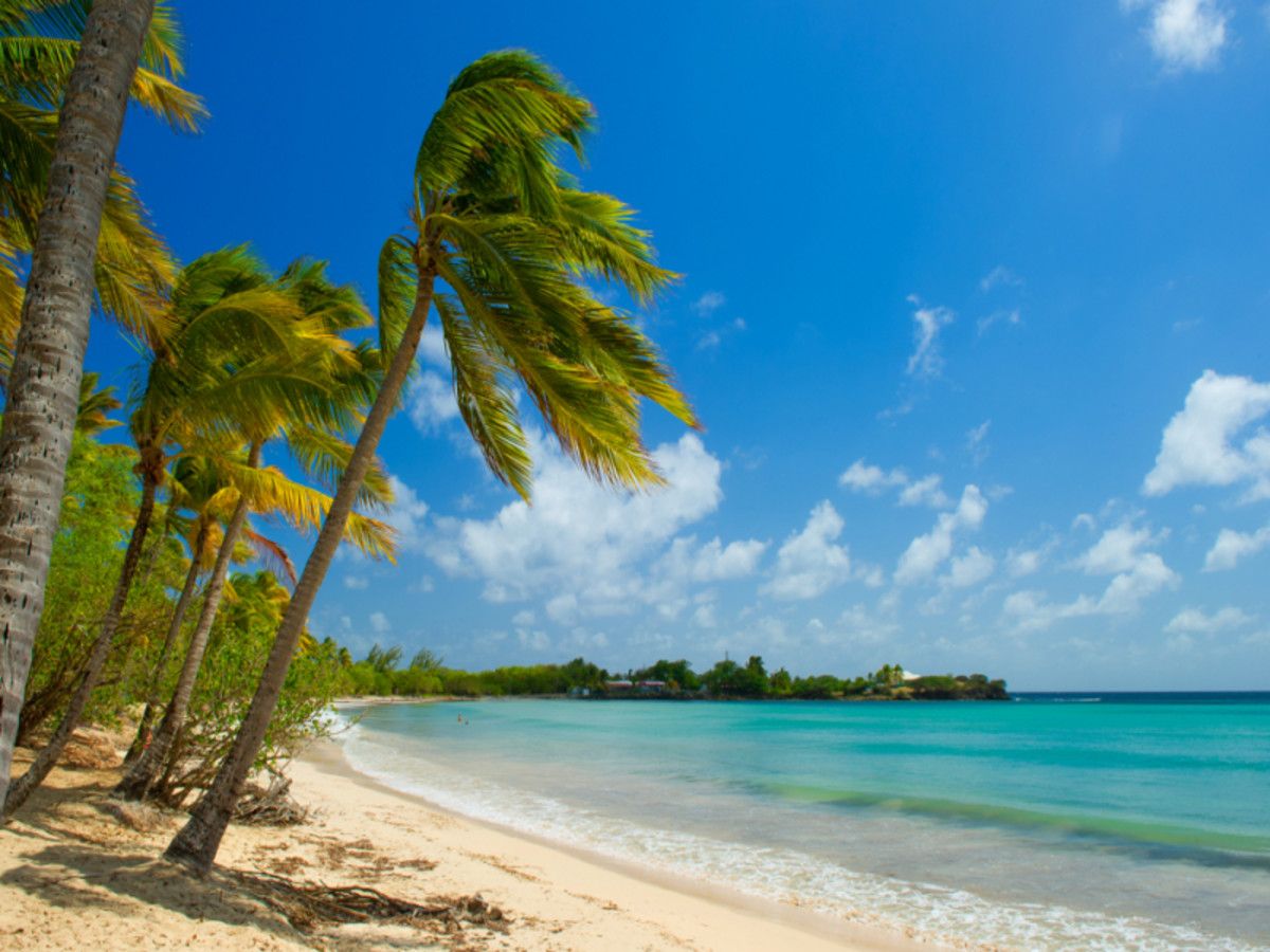 Combiné "Simply Beautiful" Martinique/Sainte Lucie pas cher photo 2