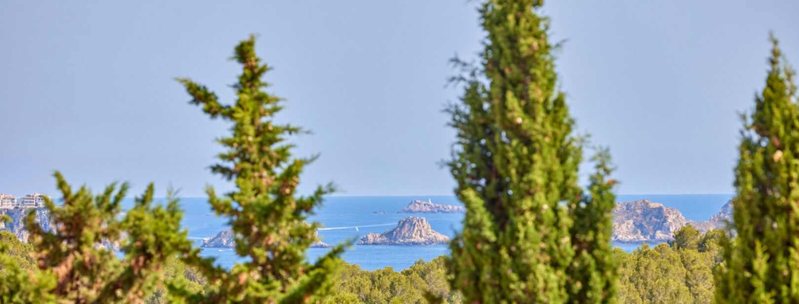 Hôtel Bordoy Don Antonio 4* pas cher photo 3