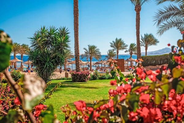 Club Framissima Tamra Beach Resort 4* pas cher photo 18