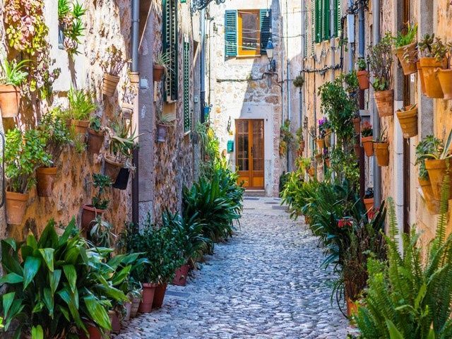 Hôtel Palia Tropico 4* pas cher photo 15