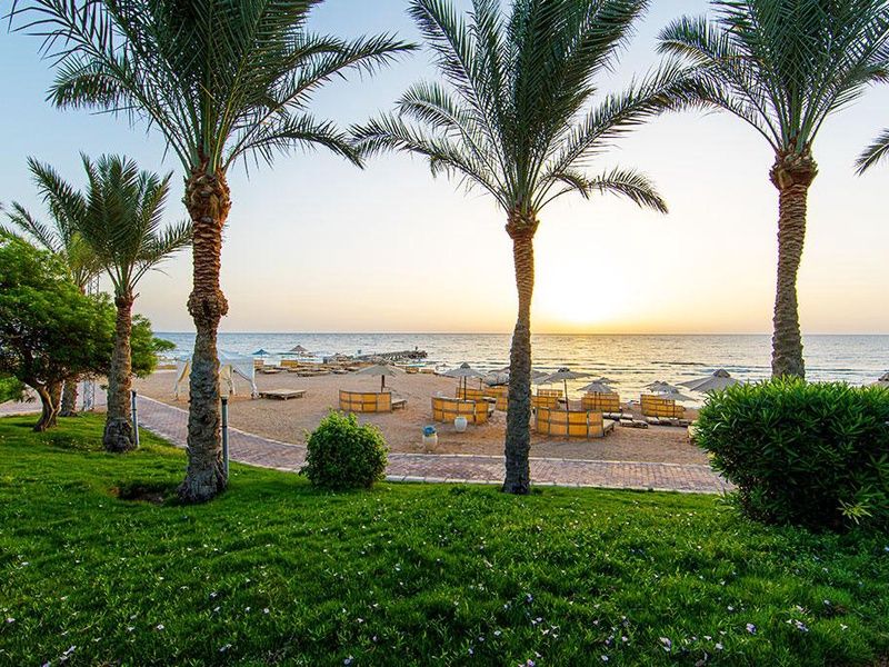 Hôtel Serenity Alpha Beach 5* pas cher photo 11