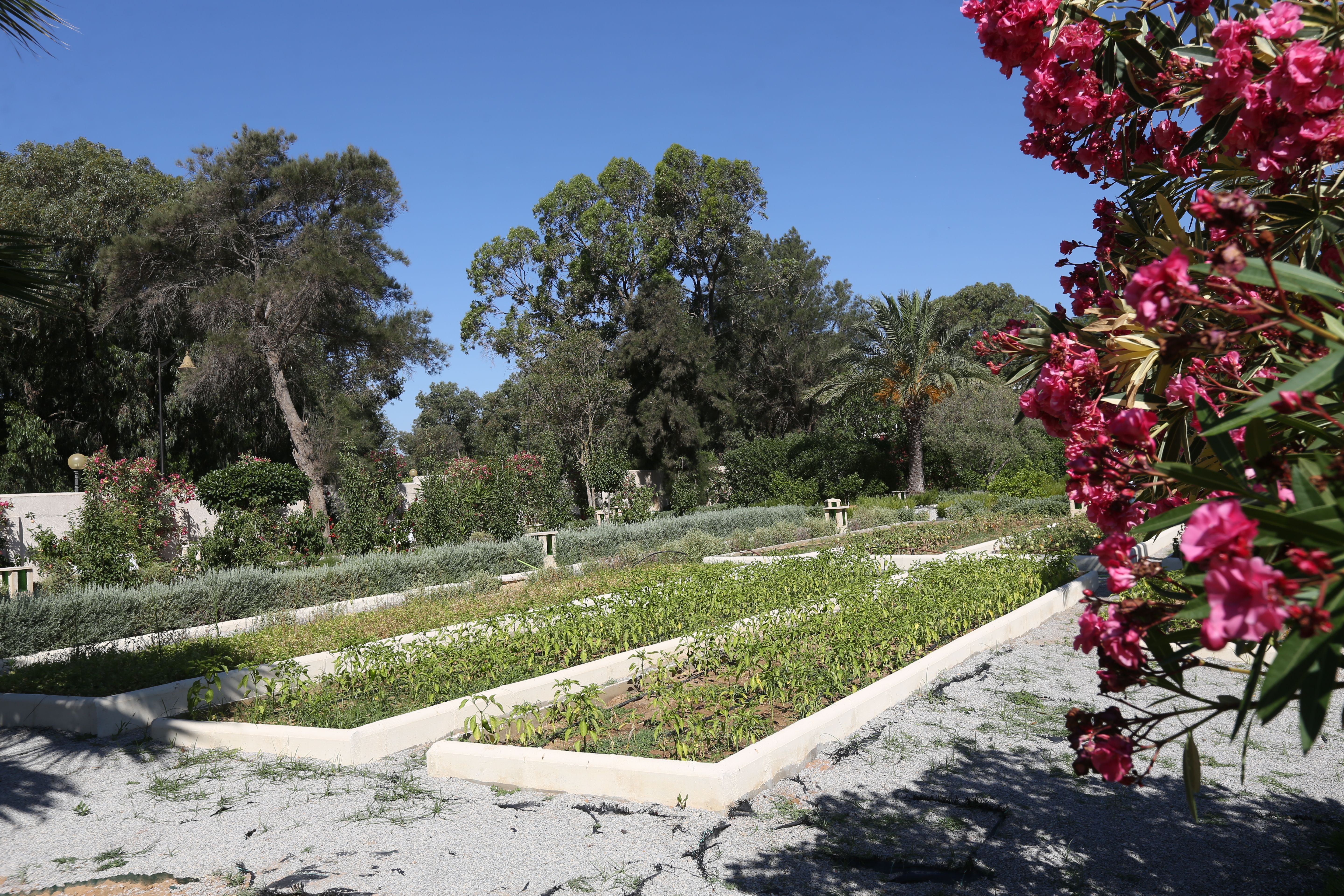 Hôtel Le Royal Hammamet 5* pas cher photo 19