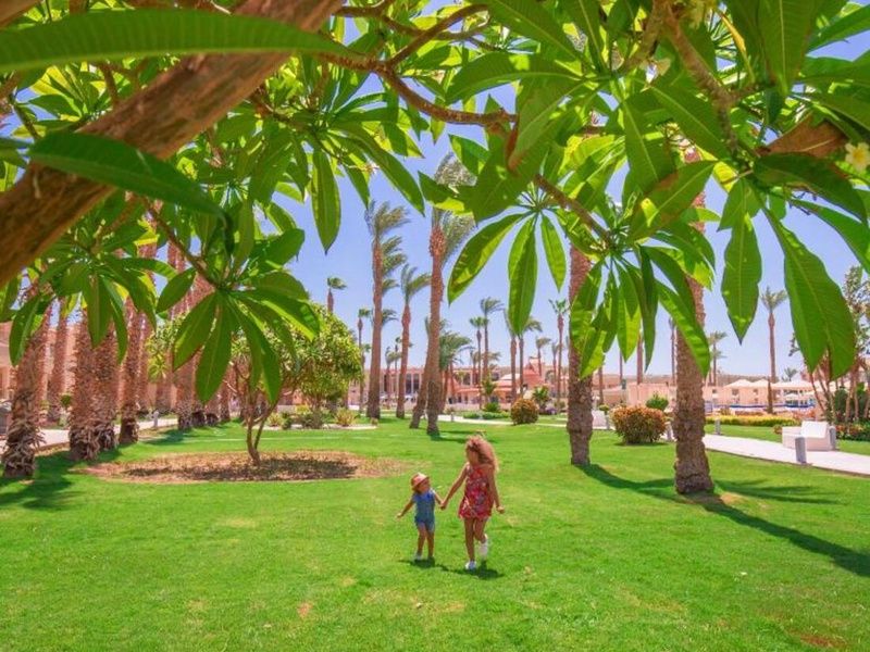 Hôtel Beach Albatros Resort 4* pas cher photo 17