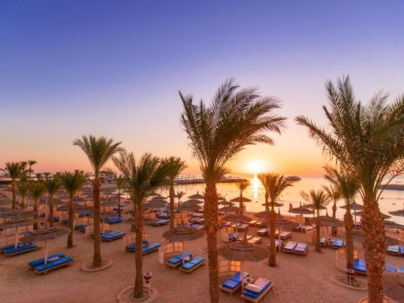 Hôtel Beach Albatros Resort 4* pas cher photo 18