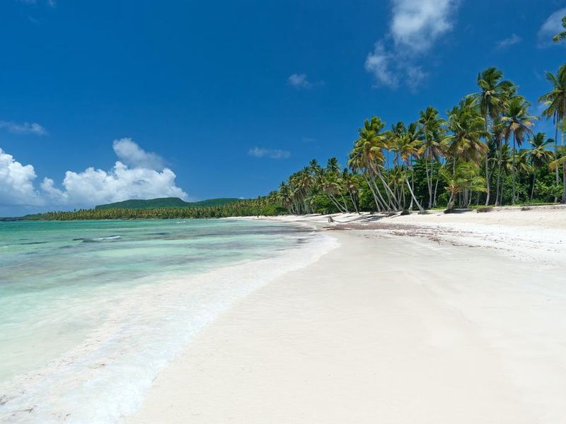 RÉP. DOMINICAINE | Punta Cana - Riu Bambu 5* pas cher photo 16