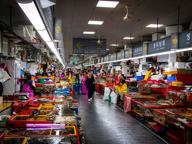 Combiné Séoul Busan pas cher photo 8