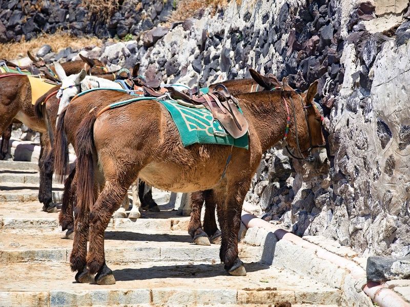 Combine Cyclades 3 îles : Santorin, Naxos, Syros en 3* ou 4* pas cher photo 6