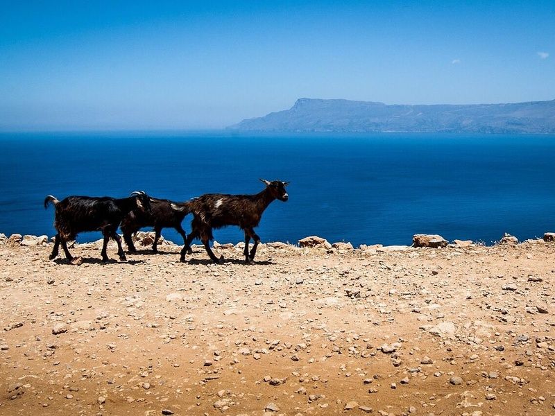 Combine Cyclades quatre îles : Santorin, Naxos, Syros & Mykonos 3* et 4* pas cher photo 7