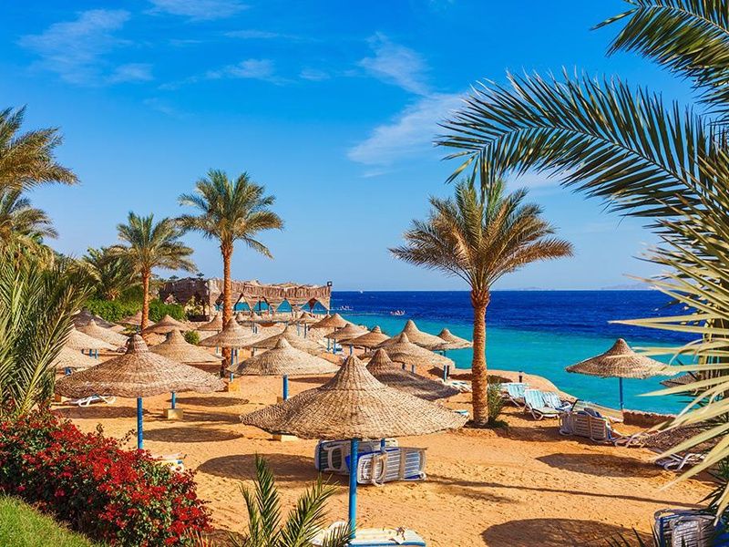 Hôtel Jaz Asteria Beach 5* pas cher photo 11