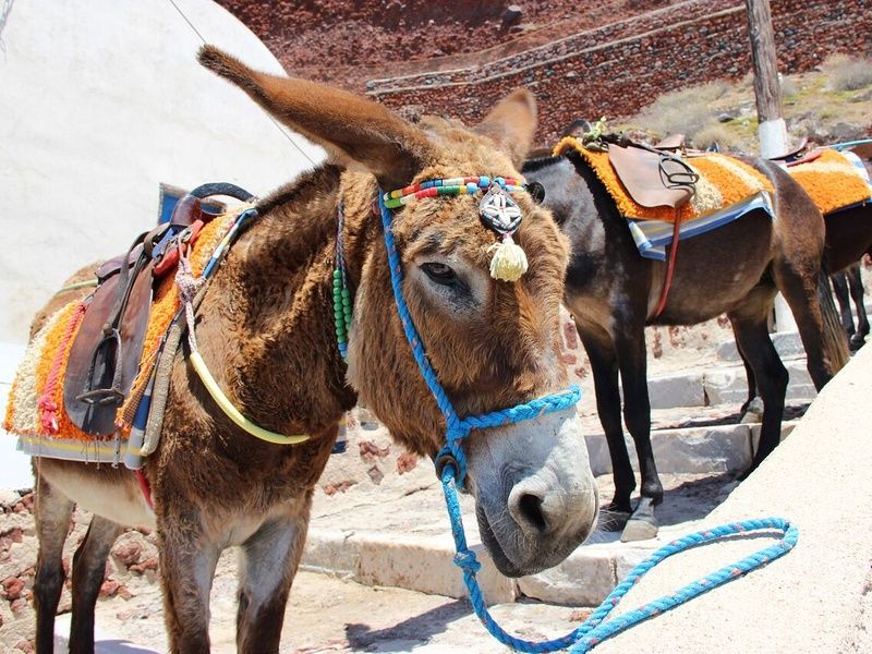 Combine Cyclades 3 îles : Santorin, Paros, Naxos en 3* ou 4* pas cher photo 7