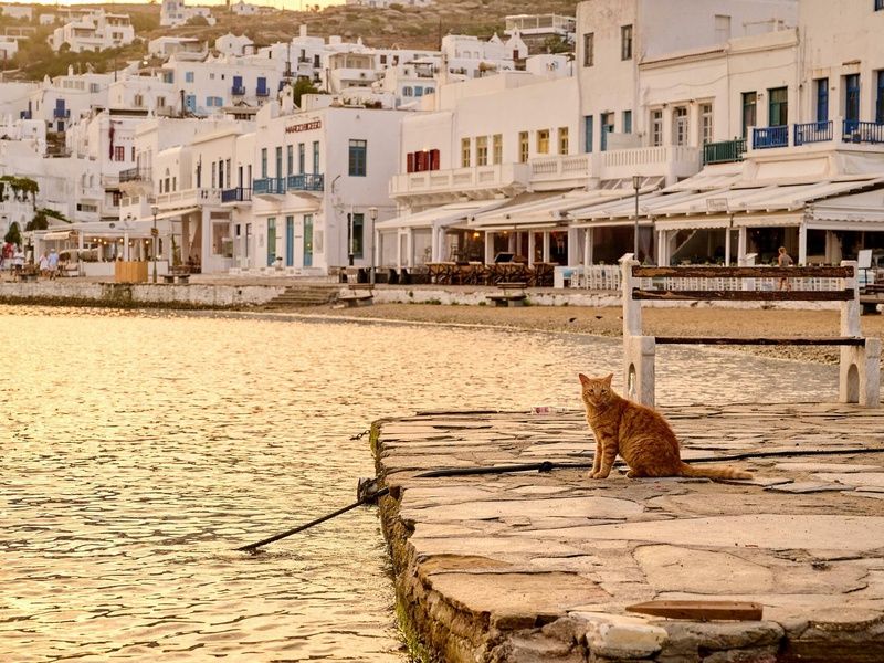Combiné Athènes et 2 îles : Paros et Mykonos pas cher photo 7