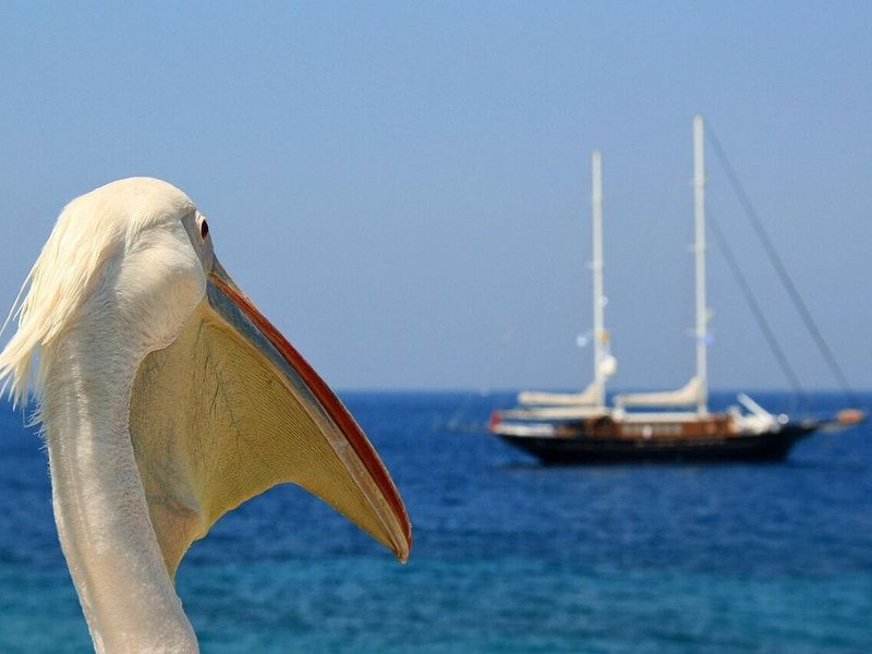Combiné Athènes et 2 îles : Paros et Mykonos pas cher photo 10