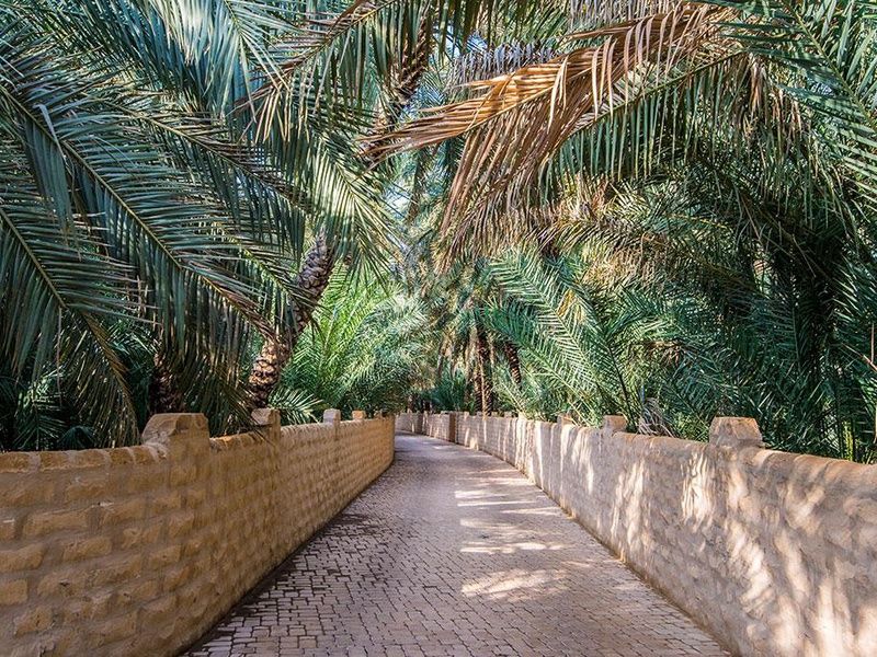 Combiné Abu Dhabi City et Al Ain Desert pas cher photo 11