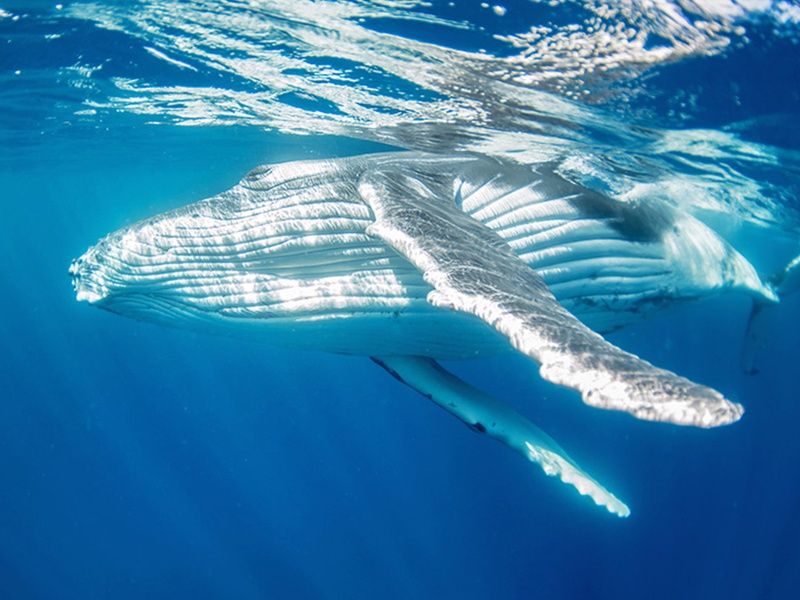 City Break - À la recherche du soleil de minuit pas cher photo 9