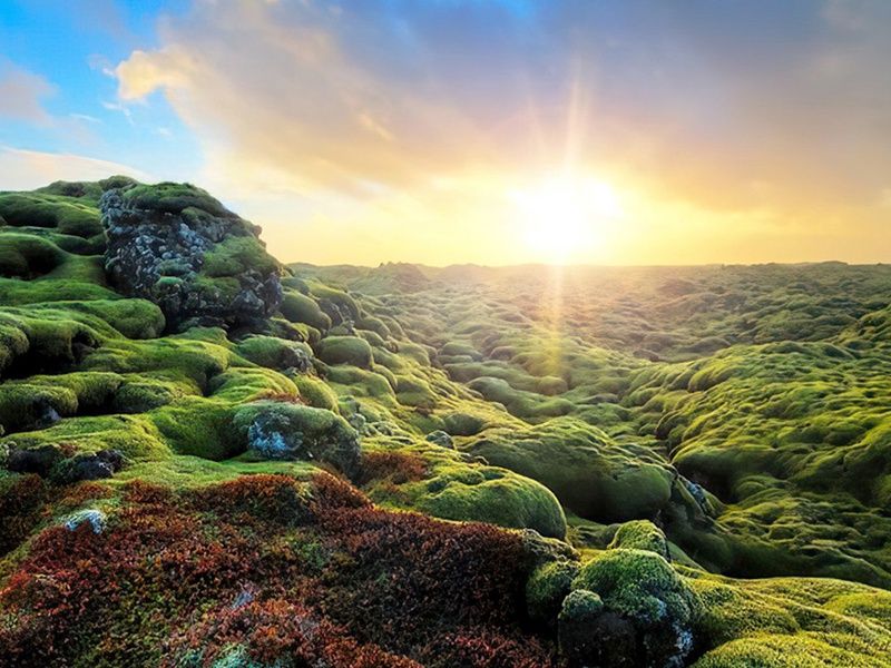 City Break - À la recherche du soleil de minuit pas cher photo 11