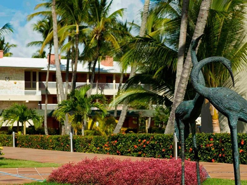 Hôtel Grand Sirenis Cocotal Beach Resort 5* pas cher photo 15