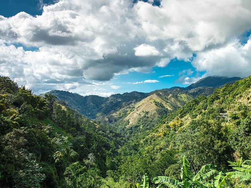 Grand Palladium Jamaica Resort & Spa 5* pas cher photo 23