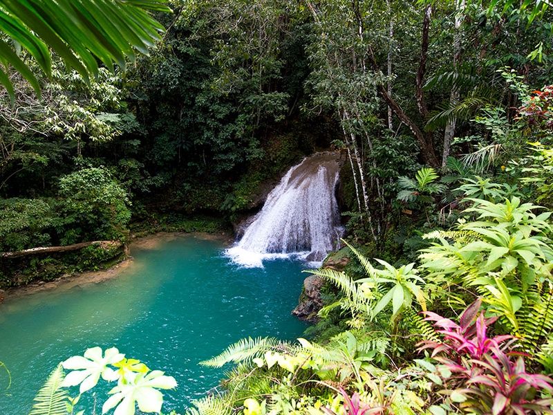 Grand Palladium Jamaica Resort & Spa 5* pas cher photo 25