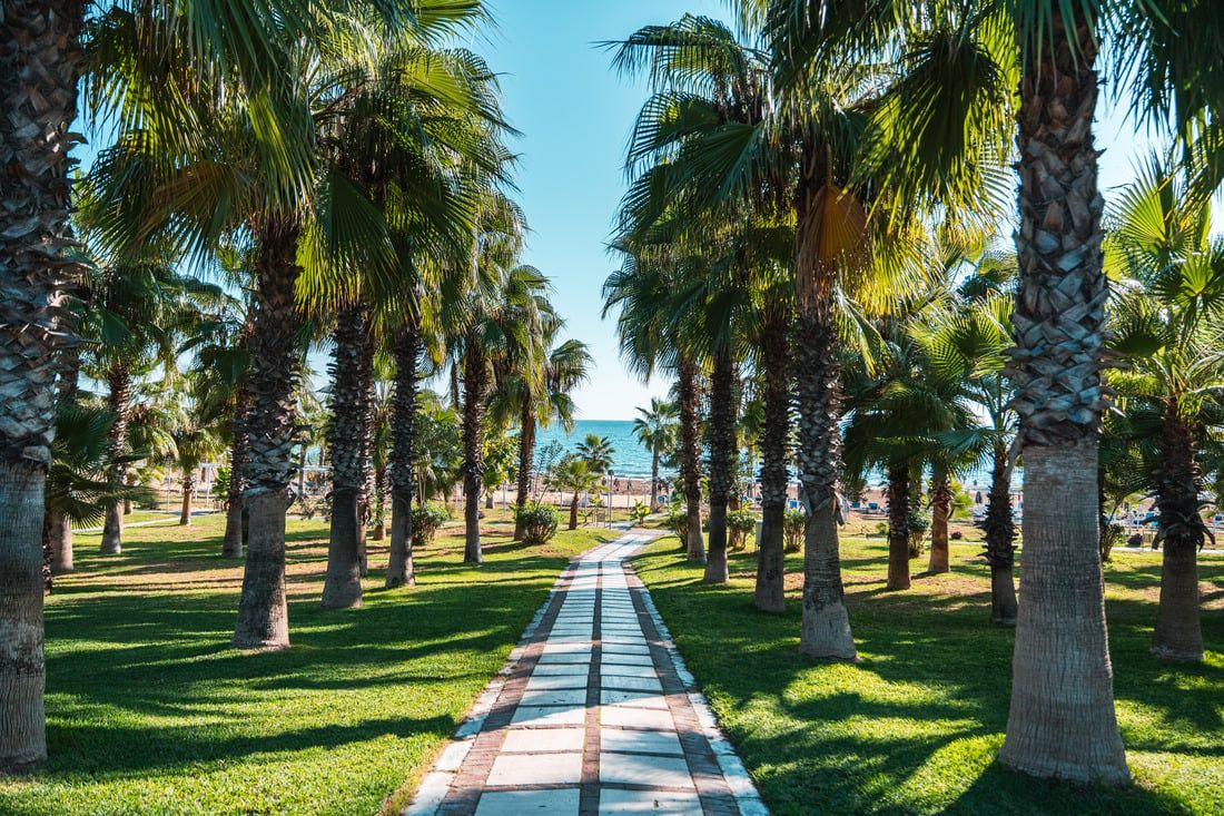 Hôtel Süral Resort 5* pas cher photo 7