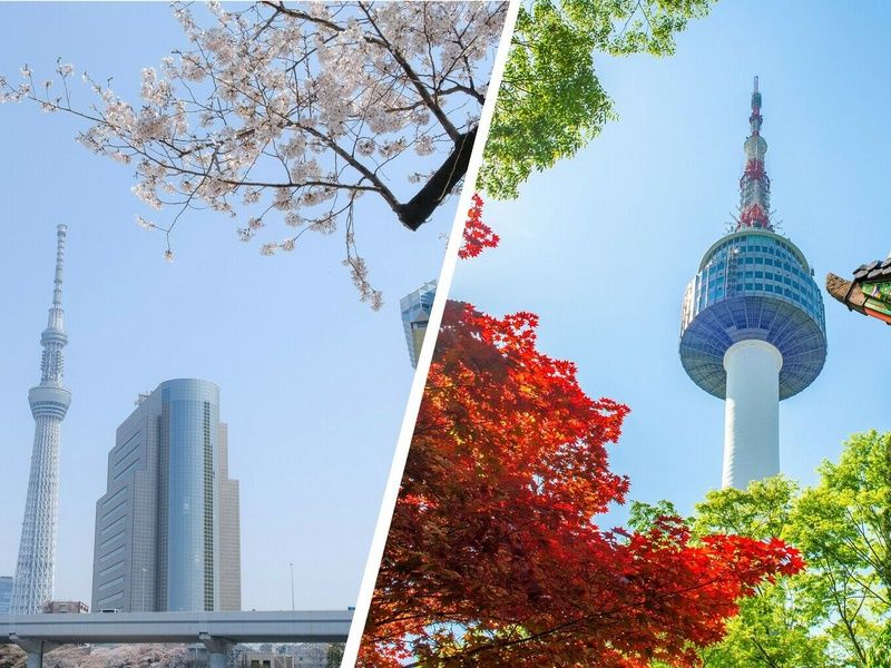 Combiné Séoul Tokyo avec activités incluses en 3* ou 4* pas cher photo 14