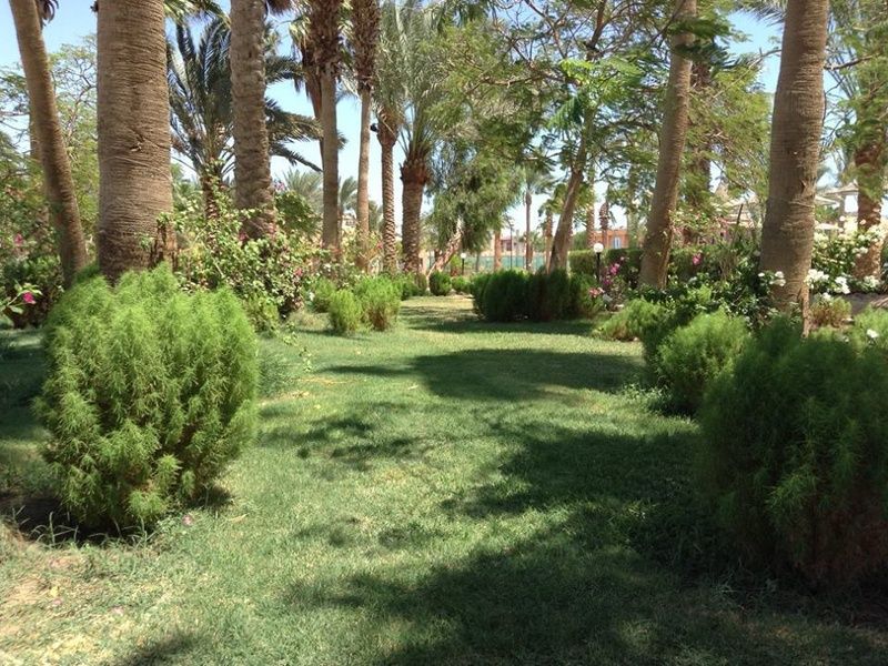Hôtel Giftun Azur Resort 3* pas cher photo 2