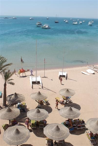 Hôtel Giftun Azur Resort 3* pas cher photo 7