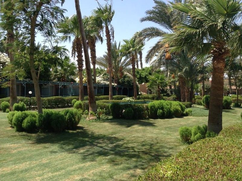 Hôtel Giftun Azur Resort 3* pas cher photo 8
