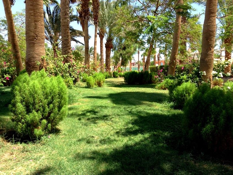 Hôtel Giftun Azur Resort 3* pas cher photo 12